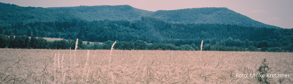 Blick auf Hessen im Eichsfeld bei Asbach-Sickenberg (Foto: Ulrike Kretzmer)